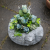 Hedgehog Concrete Garden Pot PLanter - Concreteworx Northern Ireland in garden setting